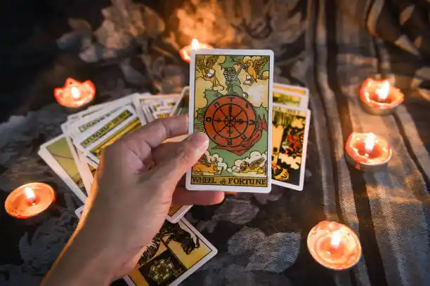 tarot cards East Lansing